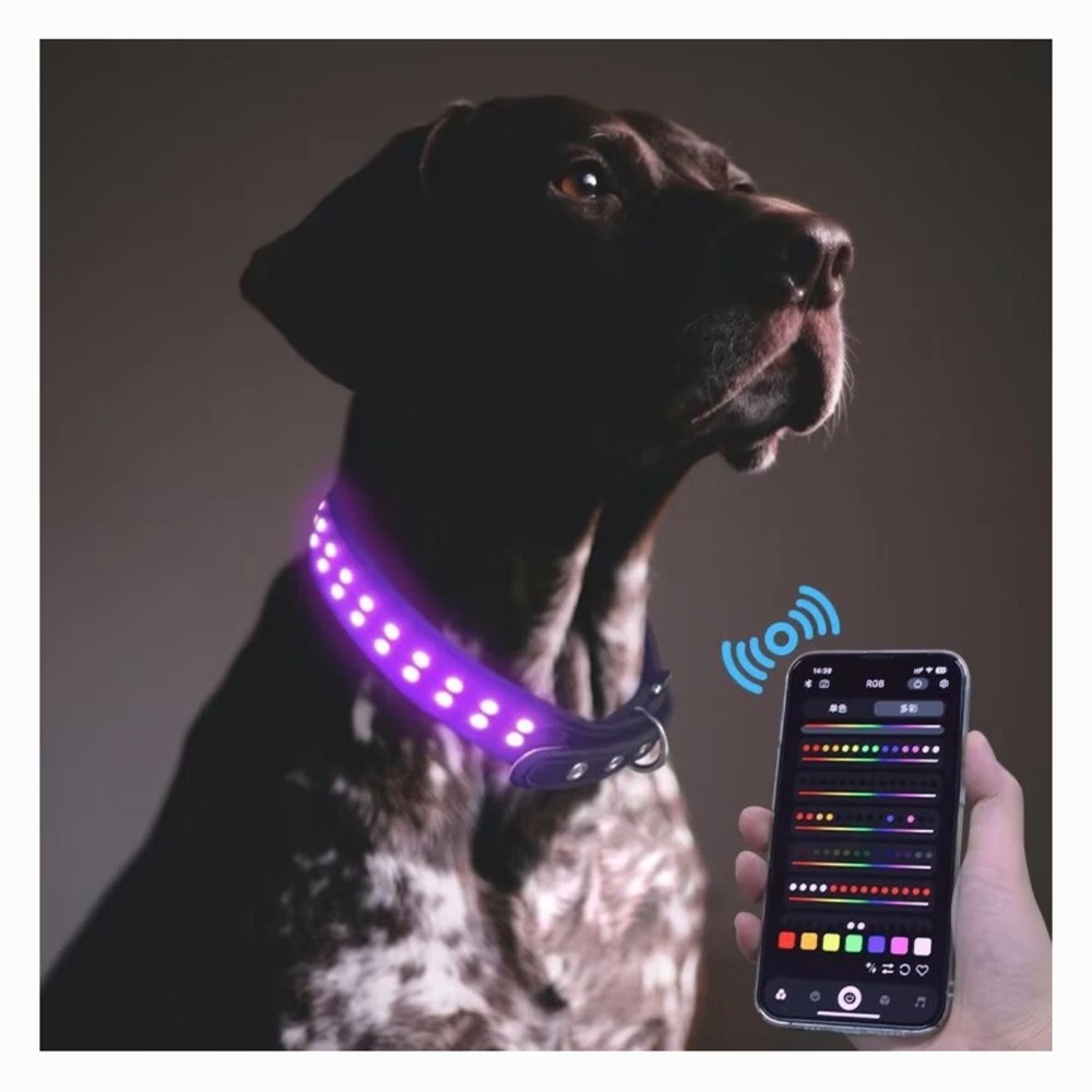 MEGAPAWS LED Dog Collar, Black, Extra Large: 24 to 28-in neck, 1.75-in wide